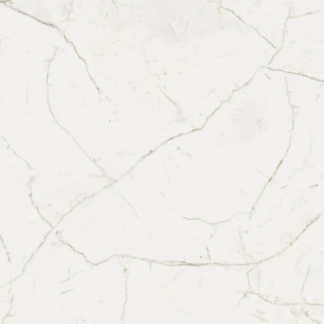 2441799-Image-1