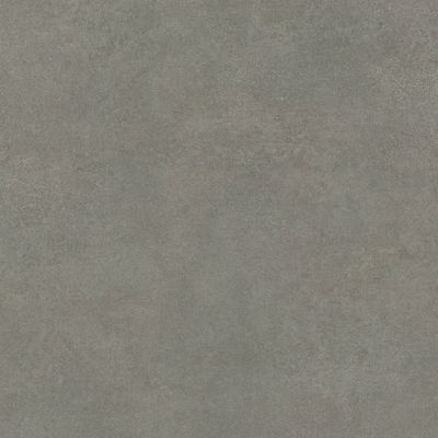 2441136-Image-1