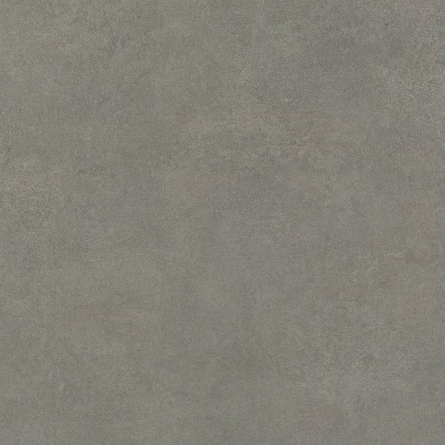 2441136-Image-1