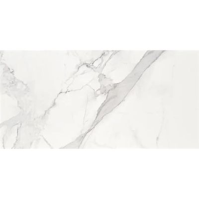 2411687-Image-1