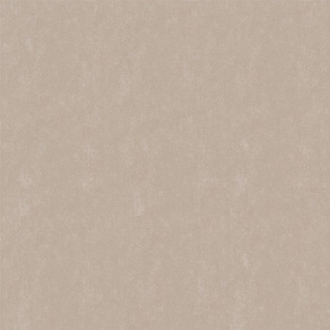 2374838-Image-1