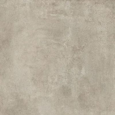 2314185-Image-1