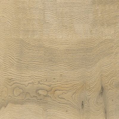 1851160-Image-1