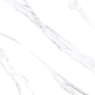1734601-Image-1