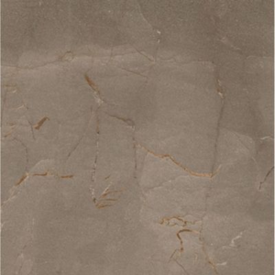 1731599-Image-1