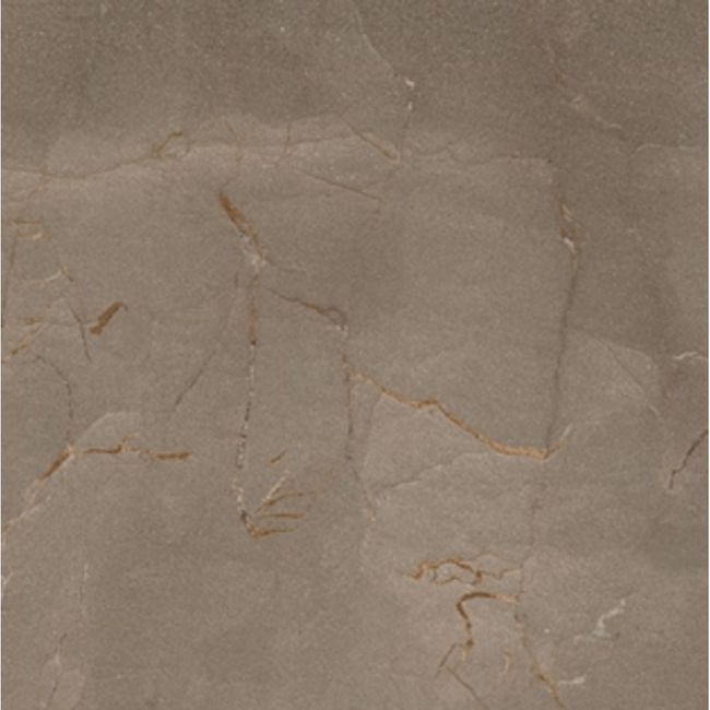 1731599-Image-1