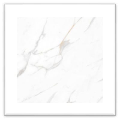 1731564-Image-1