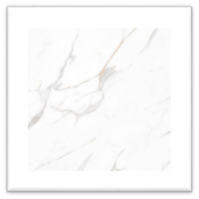 1731564-Image-1