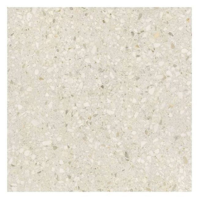2550229-Image-1