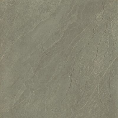 2578255-Image-1