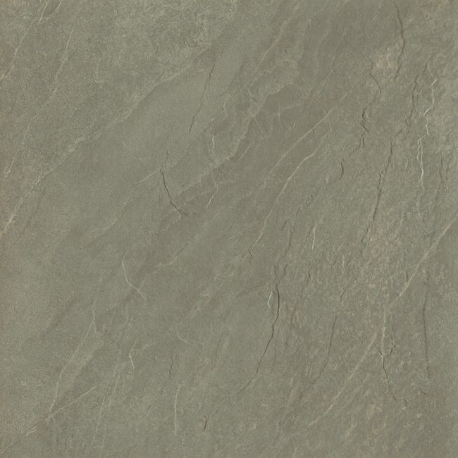2578255-Image-1