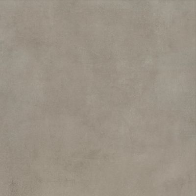 2578565-Image-1