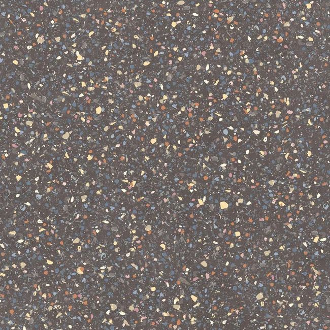 2642298-Image-1