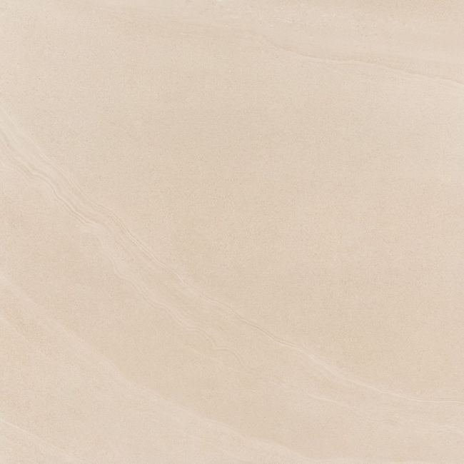 2634007-Image-1