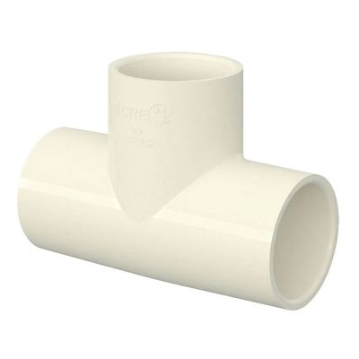 272124-Image-1
