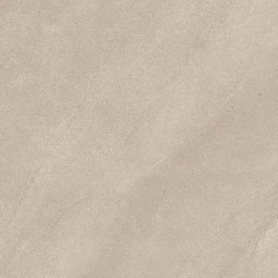 2610175-Image-1
