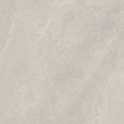 2610191-Image-1