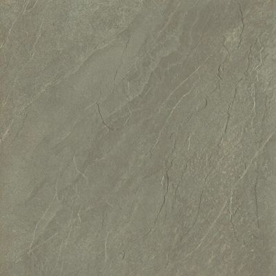 2519224-Image-1