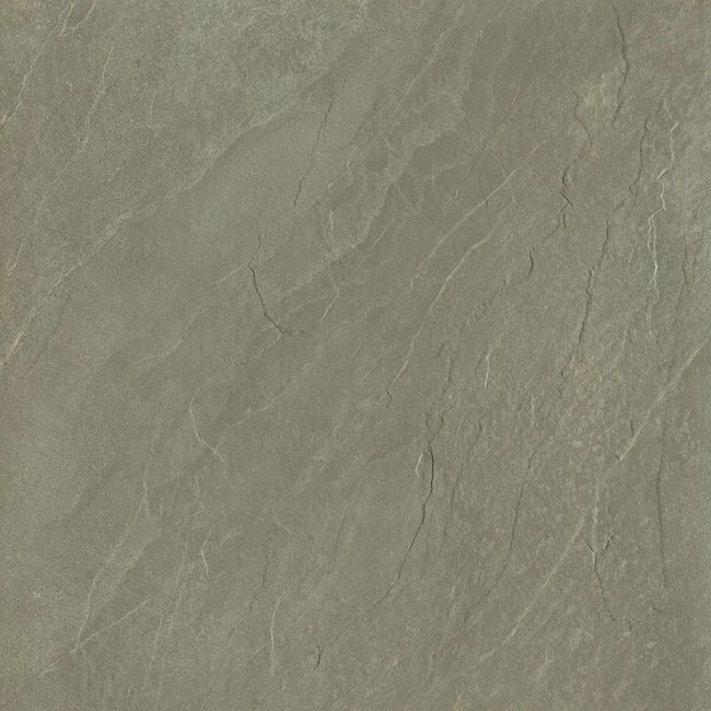 2519224-Image-1