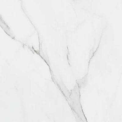 2545543-Image-1