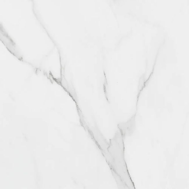 2545543-Image-1