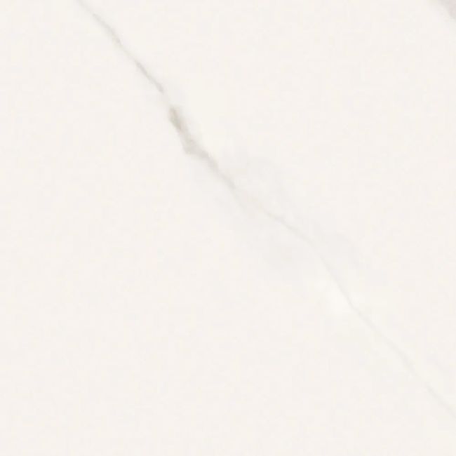 2565765-Image-1