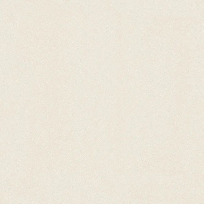 2565579-Image-1