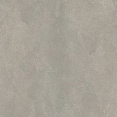 2548461-Image-1