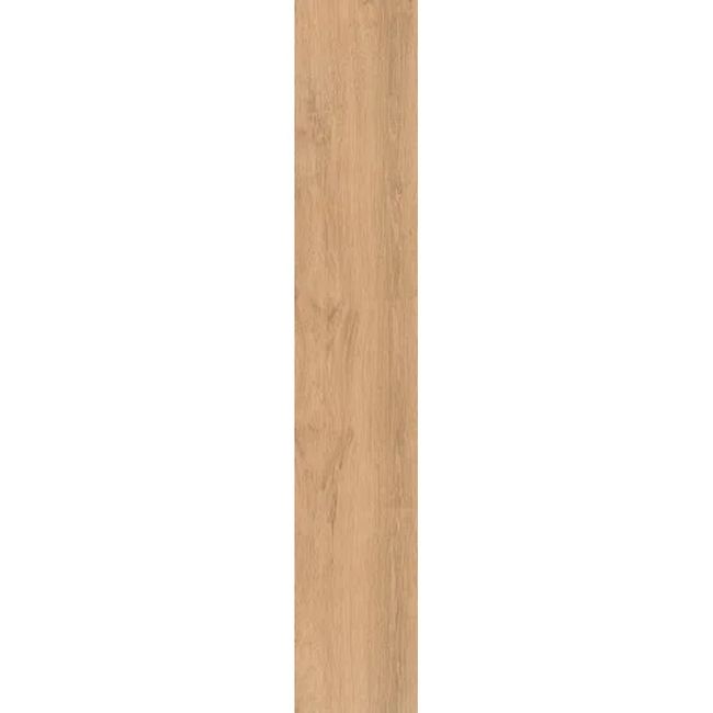 2481570-Image-1