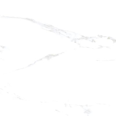 2504375-Image-1