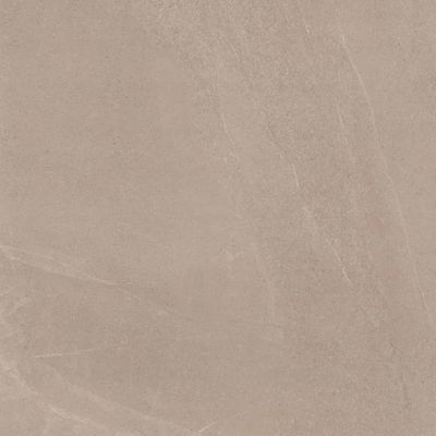 2516268-Image-1