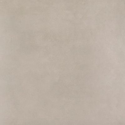 2448513-Image-1