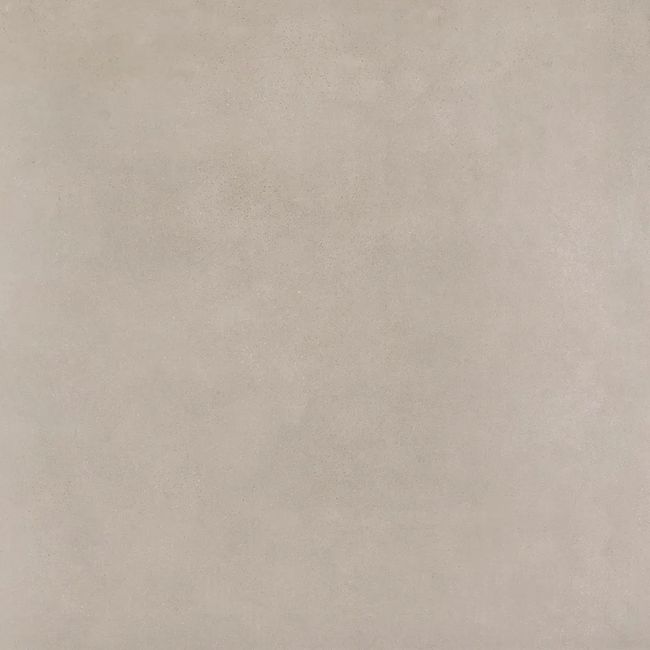 2448513-Image-1