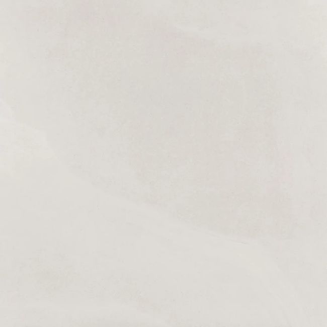2475561-Image-1