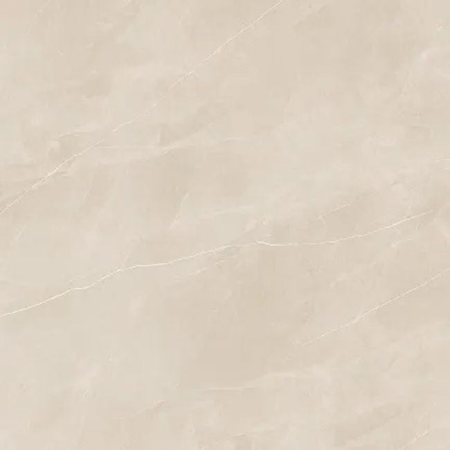2442345-Image-1