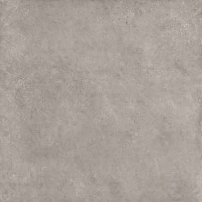 2444810-Image-1