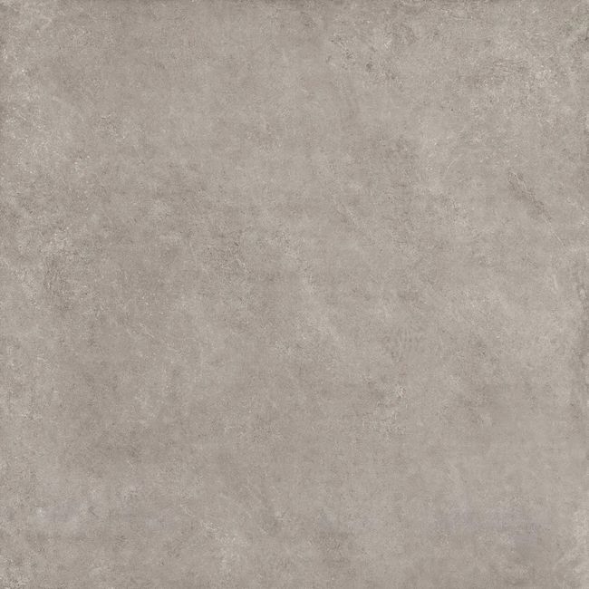 2444810-Image-1