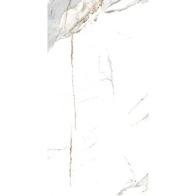 2429144-Image-1