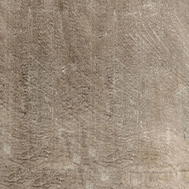 1363549-Image-1