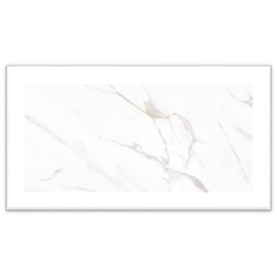 1731696-Image-1