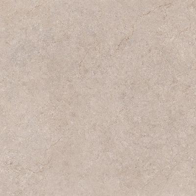 2636670-Image-1