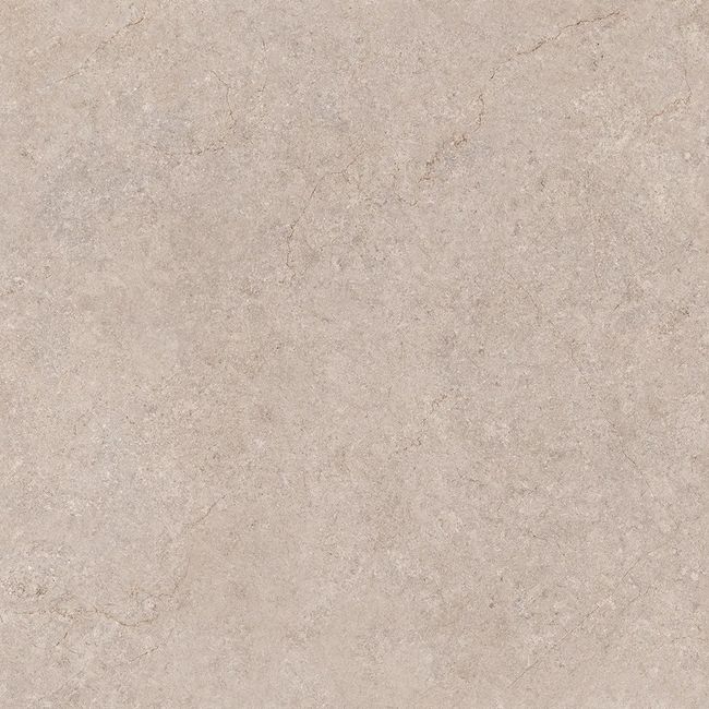 2636670-Image-1