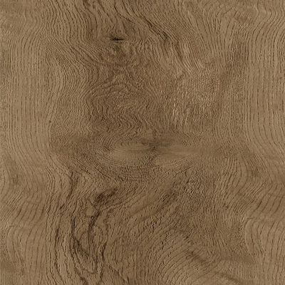 2630460-Image-1