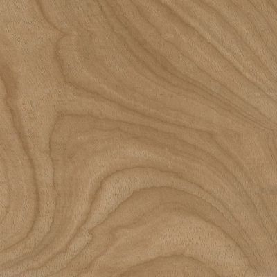 2620049-Image-1