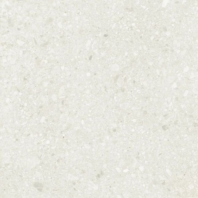 2601478-Image-1