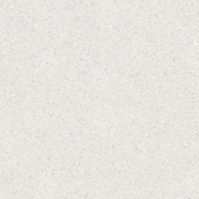 2601460-Image-1