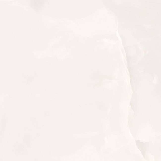 7908545813563-1