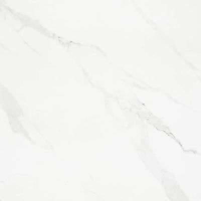 2518449-Image-1