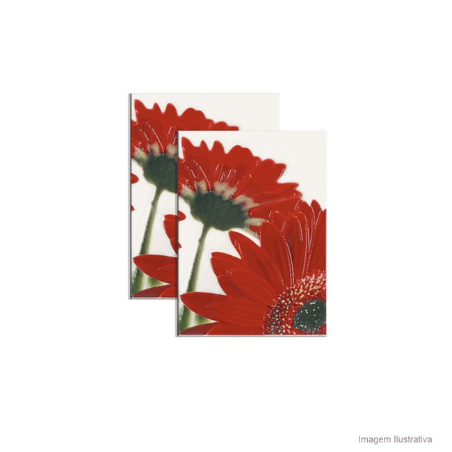 Kit com 2 peças 33x45cm modelo 29141 Porto Ferreira