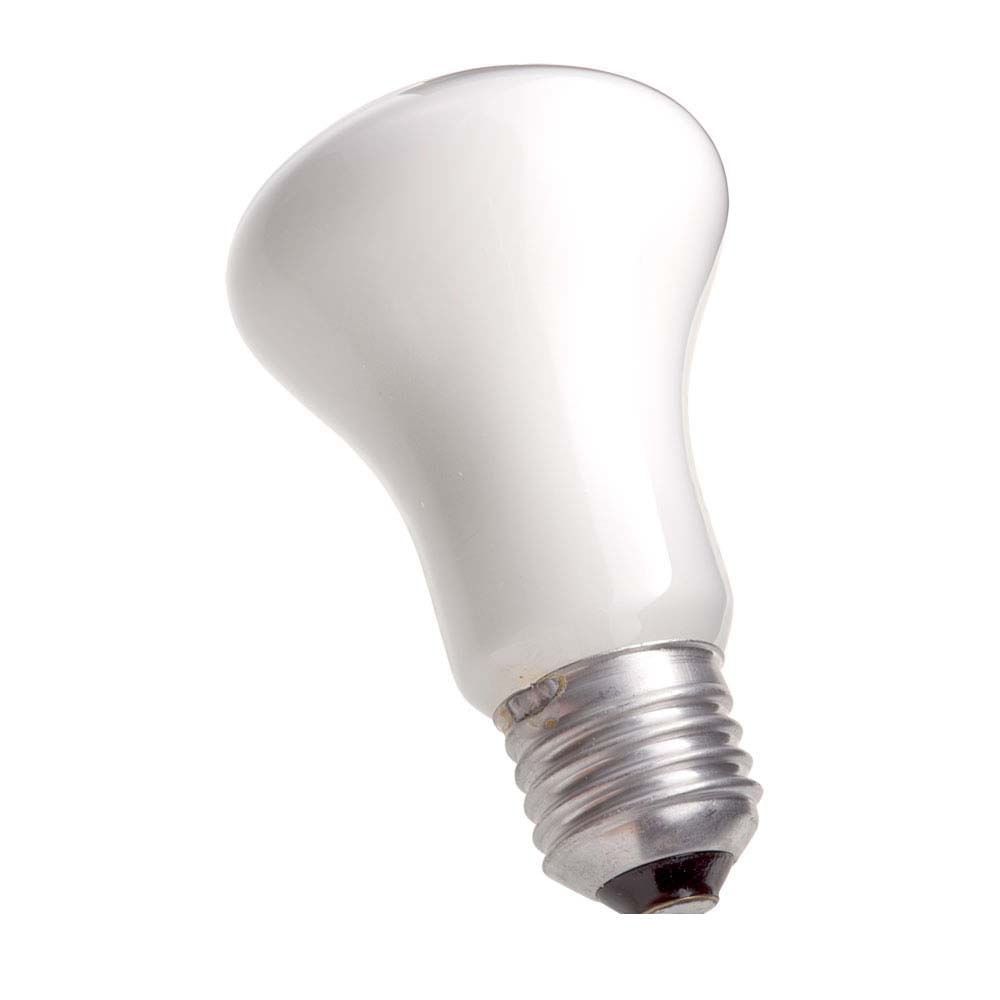 Lampada-incandescente-127V-100W-Soft-leitosa-Philips